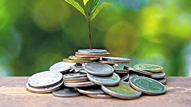 Egypt Launches IDEIA System with EIB Support to Fast-Track Green Investments