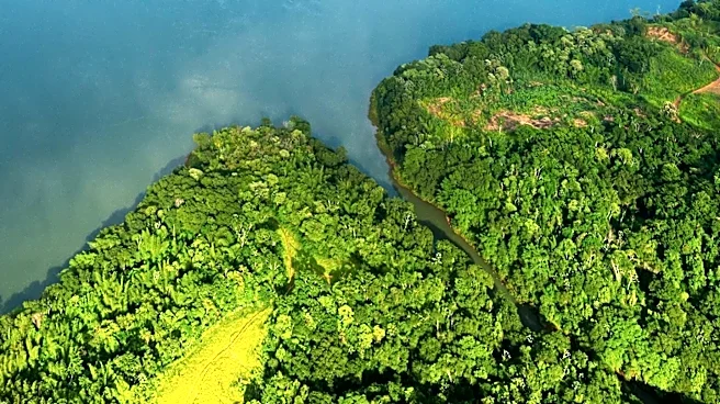Brazilian Amazon Cities Advance Climate Action with Mutirão Brasil Program Ahead of COP30