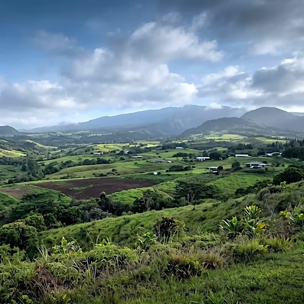 Pacific Legal Foundation Challenges Native Hawaiian Programs, Citing Ancestry-Based Discrimination