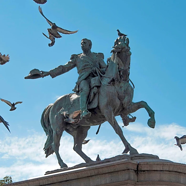 Messenger Pigeons' Historical Role in Communication and Military Operations Highlighted