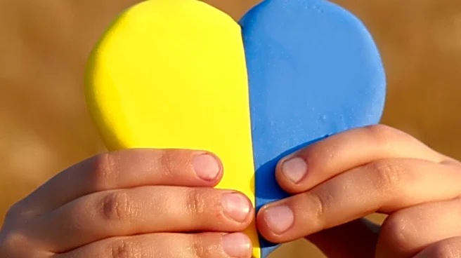 Palantir's Role in Ukraine's War Raises Questions on Data Ownership and Commercialization of Battlefield Experience