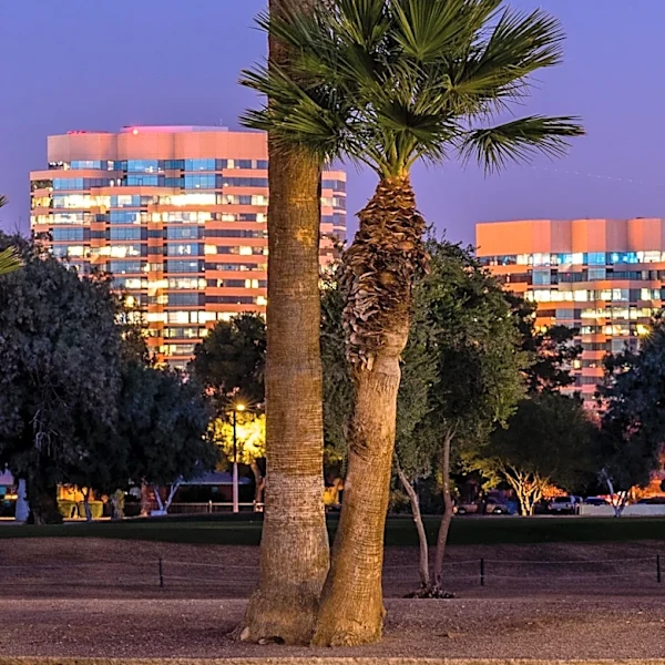 Body Recovery Underway at Tempe Town Lake Following Overnight Incident