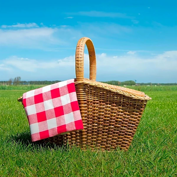 Rock Island County Democrats Host Annual Salute to Labor Picnic Ahead of Midterm Elections