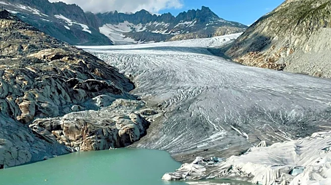 Swiss Scientists Test Sheep's Wool as Biodegradable Glacier Cover Alternative