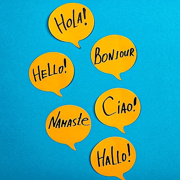 How Maine Education Policy Supports Multilingual Learners and Equitable School Access