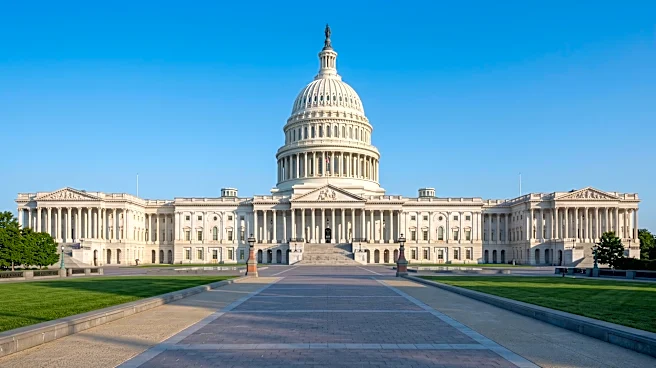 Representative Dan Crenshaw Defends Politicians' Right to Trade Stocks Amidst Public Scrutiny