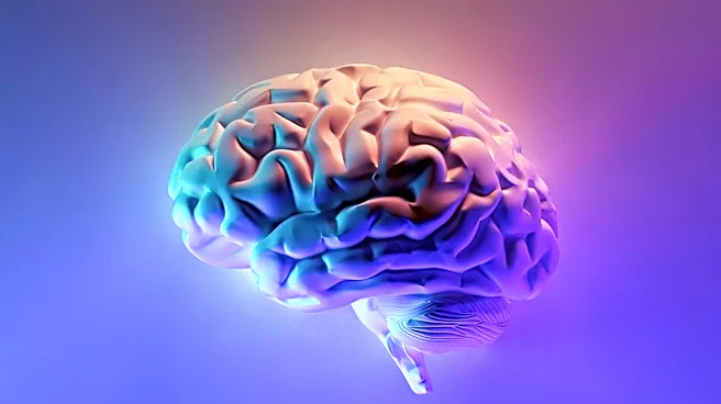 Douglas Weber Leads Neurotechnology Research for Sensory and Motor Function Restoration
