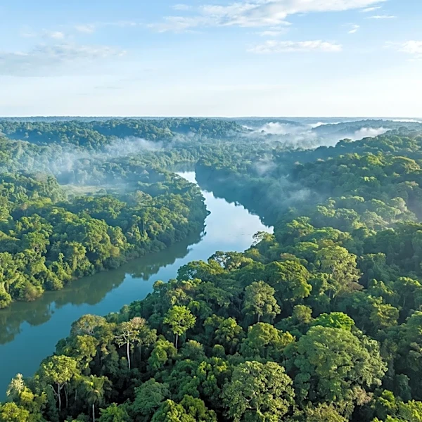 UK Commits £400 Million Loan to Brazil's Tropical Forests Forever Facility