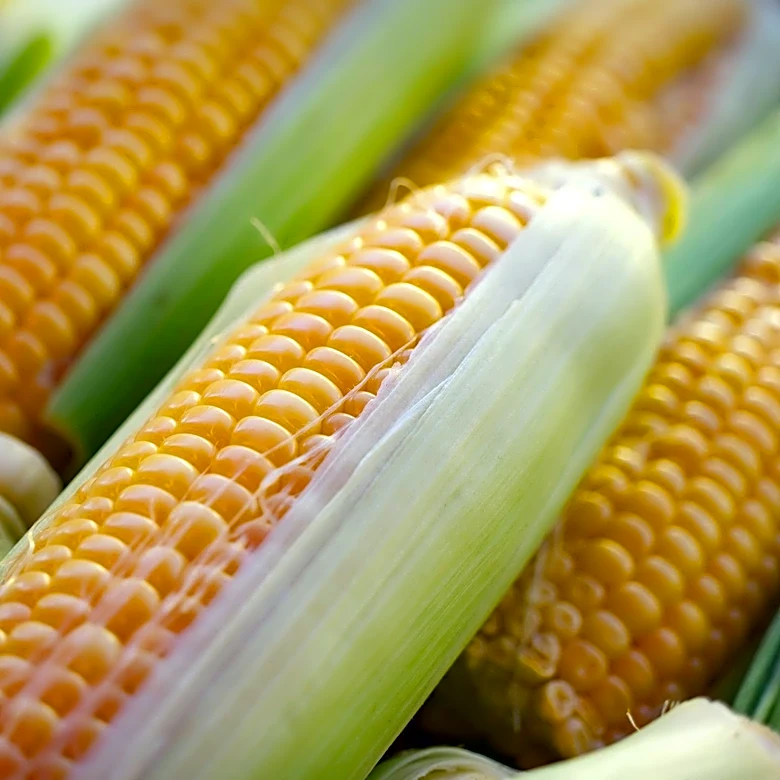 High-Fructose Corn Syrup Linked to Increased Fat Absorption in Study