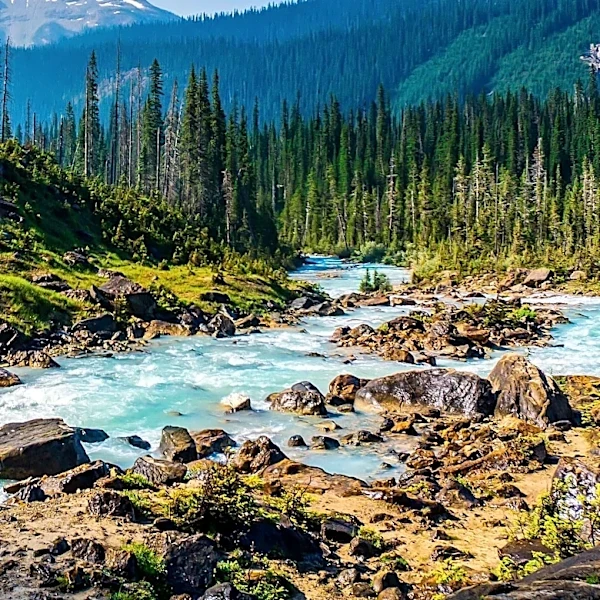 Montana Legislators Urged to Pass 'A River Runs Through It Act' for Wilderness Protection