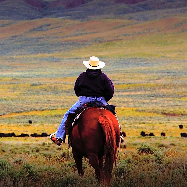 U.S. Rep. Gabe Evans Promotes 'Rancher' Image Amidst Campaign for Colorado's 8th Congressional District