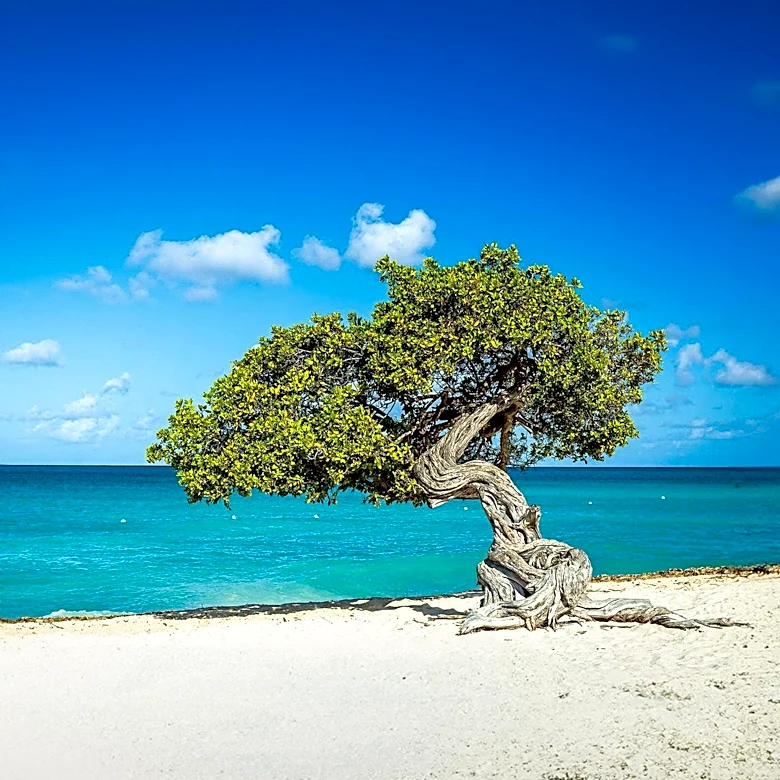 Aruba Remains Undeterred by Hurricanes, Offers Year-Round Travel Appeal