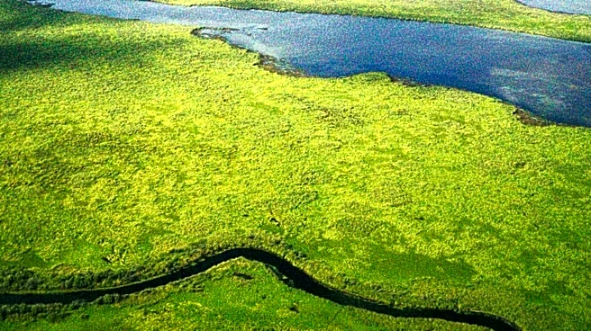 EPA Administrator Lee Zeldin Seeks to Limit Federal Clean Water Law's Scope on Wetlands