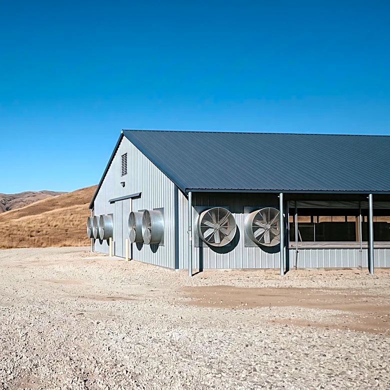 Ramona Egg Ranch Faces Dilemma Over Salmonella Outbreak, Weighing Mass Culling Against Costly Testing