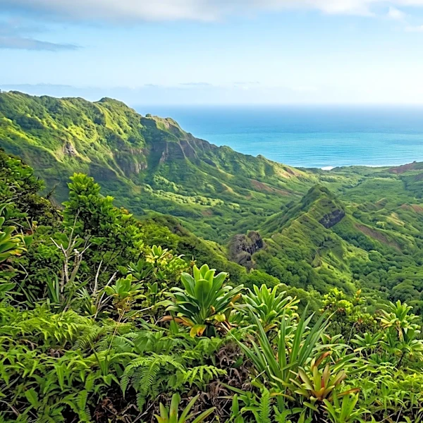 Teresa F. Hughes Trust Announces Annual Grant Opportunity for Hawaii Non-Profits