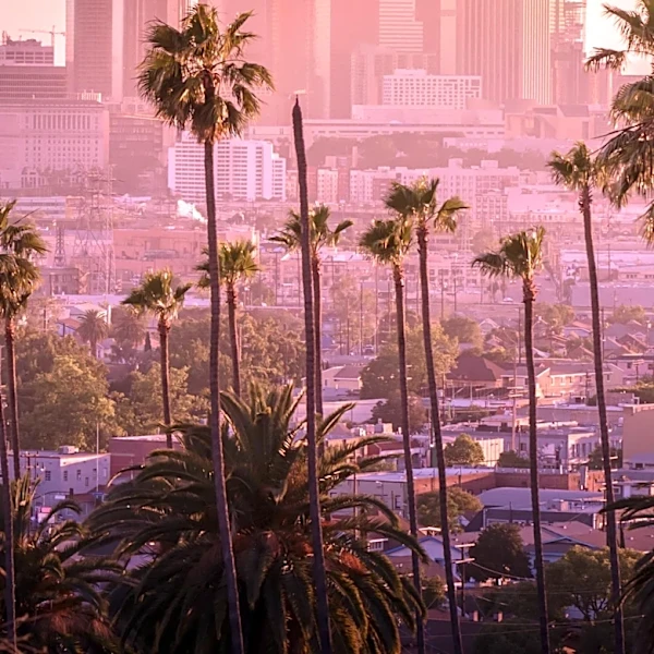 Los Angeles Experiences Record Humidity Amid Heat Wave, Increasing Health Risks