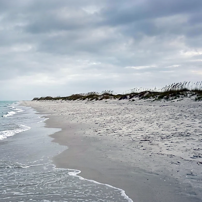Florida Reports Fourth Death from Flesh-Eating Bacteria Linked to Oysters