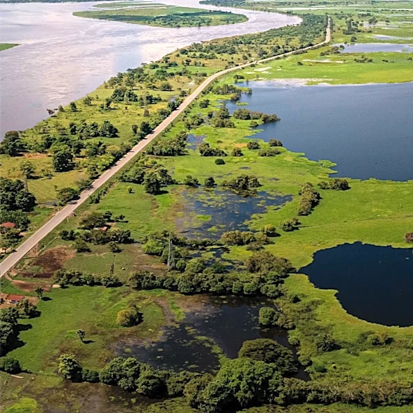H2Ohio Initiative Completes Wetland Project Near Ottawa River to Improve Water Quality
