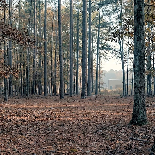 North Carolina Authorities Identify Remains of 15-Year-Old Girl Missing Since 1977, Investigating as Homicide