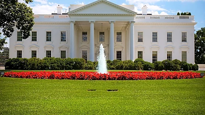 White House Faces Calls for Nintendo Lawsuit Over 'Ocarina of Time' Parody