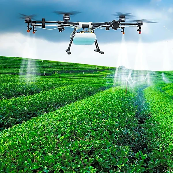 USDA Advances Sterile Fly Strain to Combat New World Screwworm Outbreak