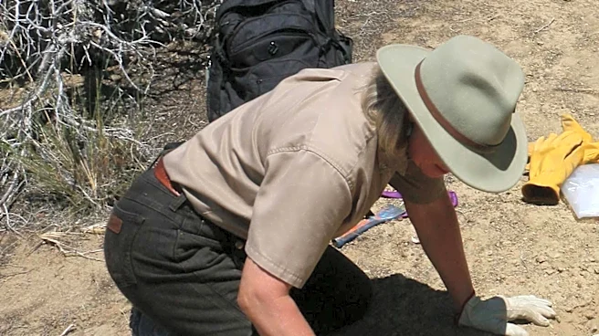 Denver Museum of Nature Science to Conduct Second Fossil Dig at Ziegler Reservoir