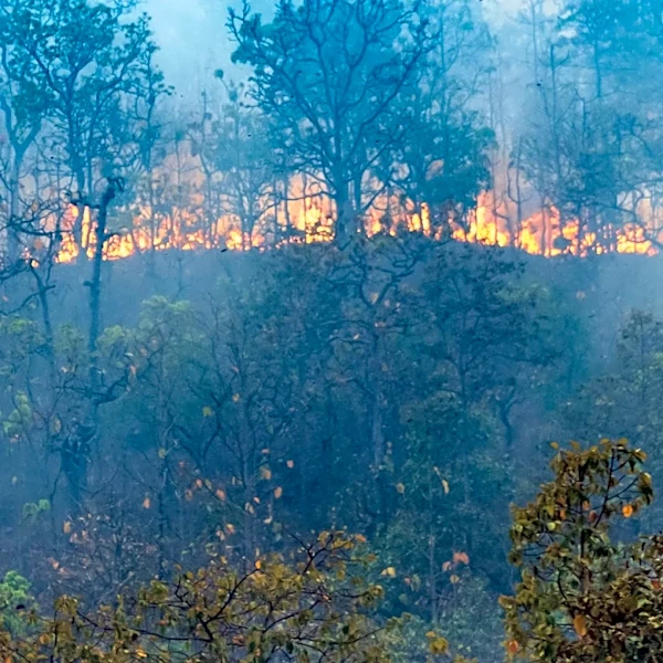 Firefighters Battle Wildfire Near Santa Fe Ski Basin, Cause Under Investigation