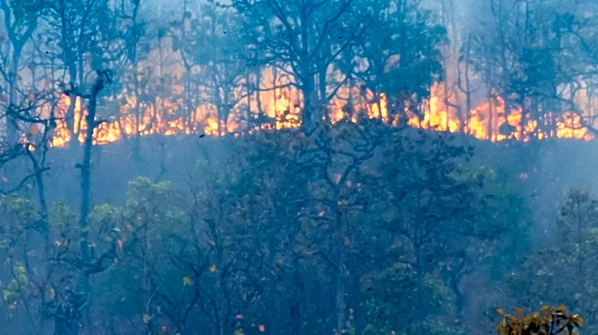 Firefighters Battle Wildfire Near Santa Fe Ski Basin, Cause Under Investigation