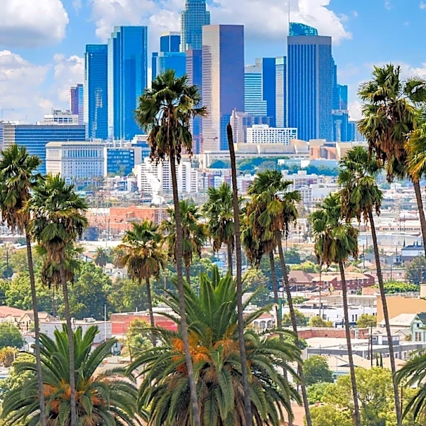 California Counties Lack Centralized Warrant Database, Requiring Localized Searches