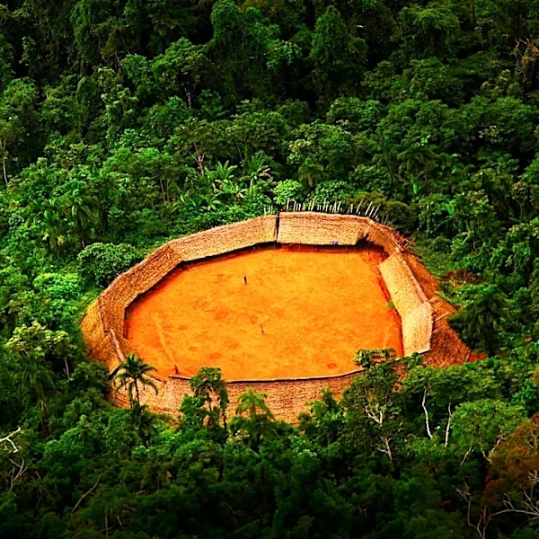 Getty Initiative Connects Art Historians with Indigenous Communities in the Amazon Basin