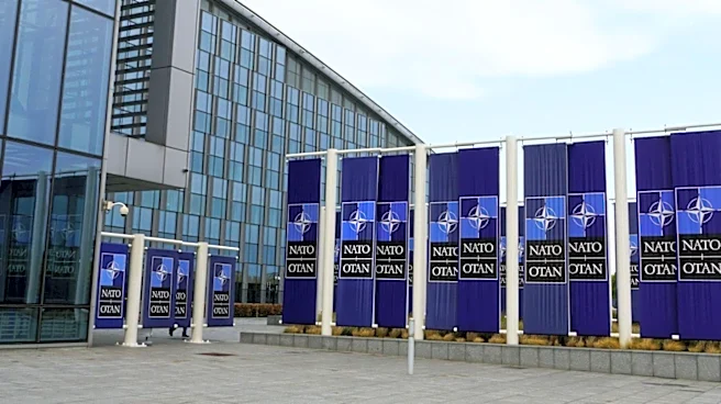 NATO Develops Commercial Space Strategy to Enhance Alliance Operations