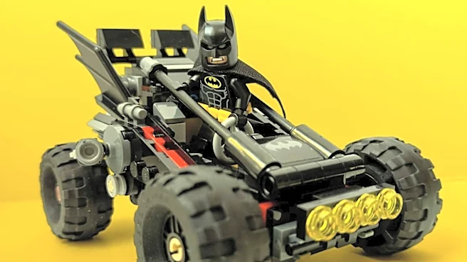 Louisiana Veterinarians Construct Custom LEGO Wheelchair for Box Turtle Pedro