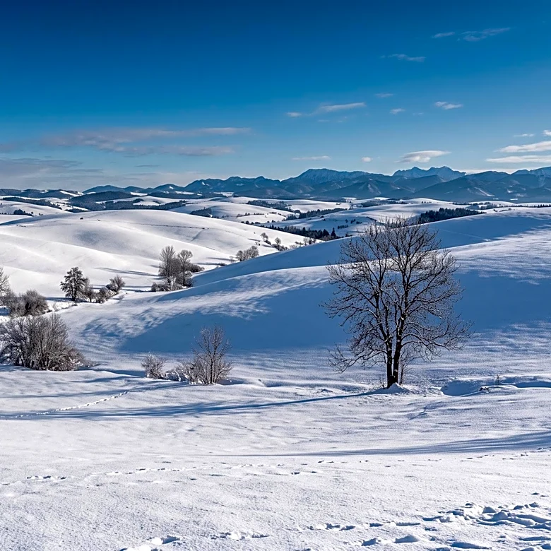 Old Farmer's Almanac Forecasts Mild U.S. Winter for 2025, With Regional Variations