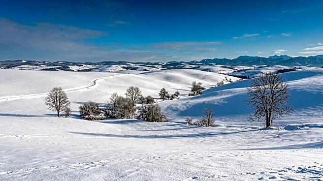 Old Farmer's Almanac Forecasts Mild U.S. Winter for 2025, With Regional Variations