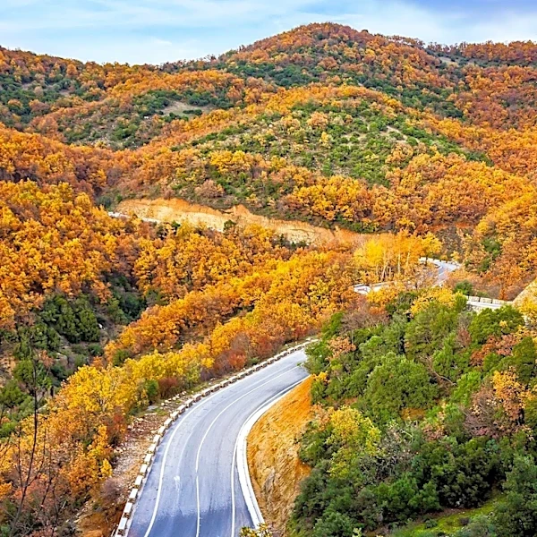 Talladega Scenic Drive in Alabama Offers Nature-Focused Road Trip Experience