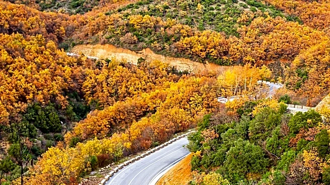 Talladega Scenic Drive in Alabama Offers Nature-Focused Road Trip Experience