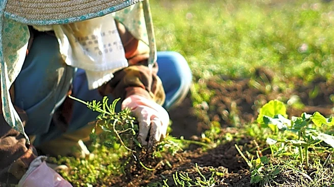 Midwest Farmers Embrace Regenerative Agriculture with Spiritual Focus