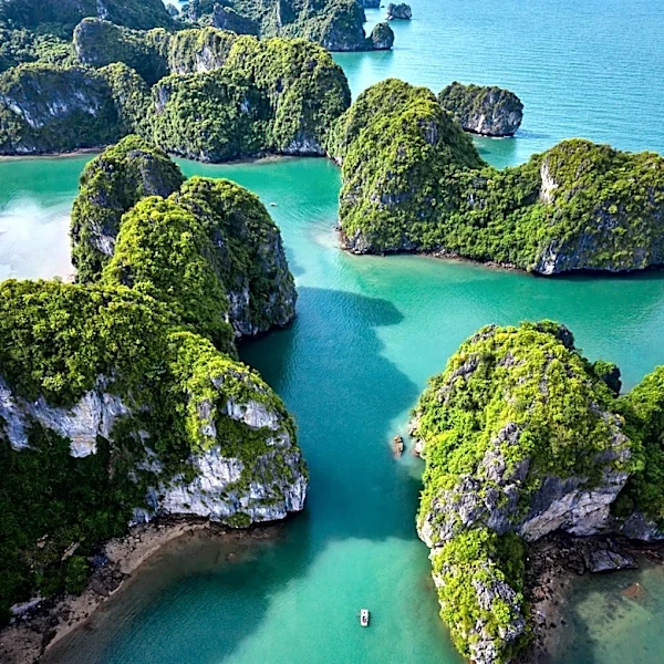 Vietnam and France Issue Joint Statement on Comprehensive Strategic Partnership, Emphasizing East Sea Stability and Ocean Conservation