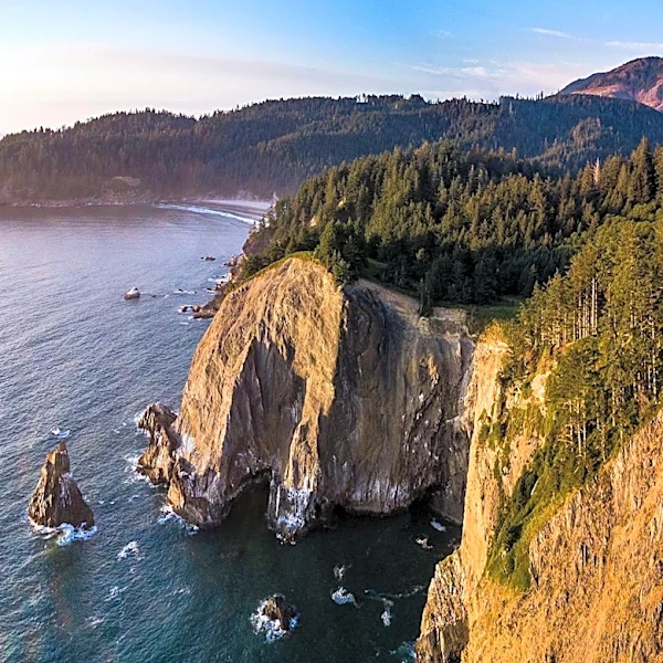 Pacific Northwest Coast Lacks Major Cities Due to Geographic, Climatic, and Historical Factors