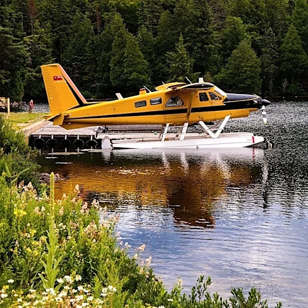 GOP Representative Tom Tiffany Survives Emergency Lake Landing in Wisconsin