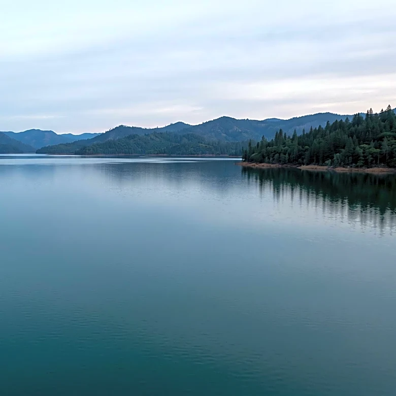 California Man Dies Attempting to Rescue Dog from Shasta Lake