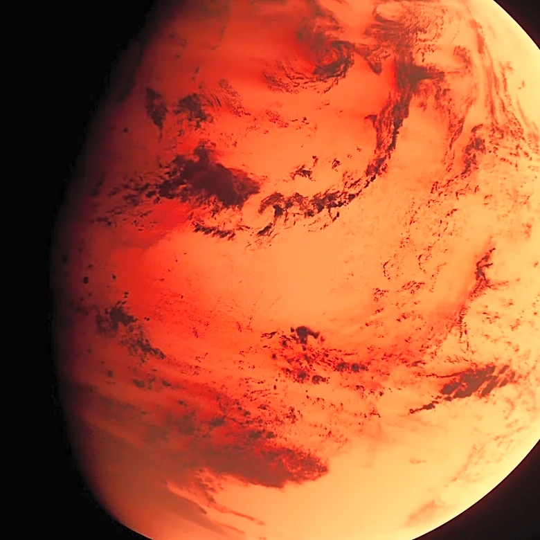 Mars Aerosol Warming Simulation Reveals Unintended Water Cloud Feedback, Cooling Winter Midlatitudes