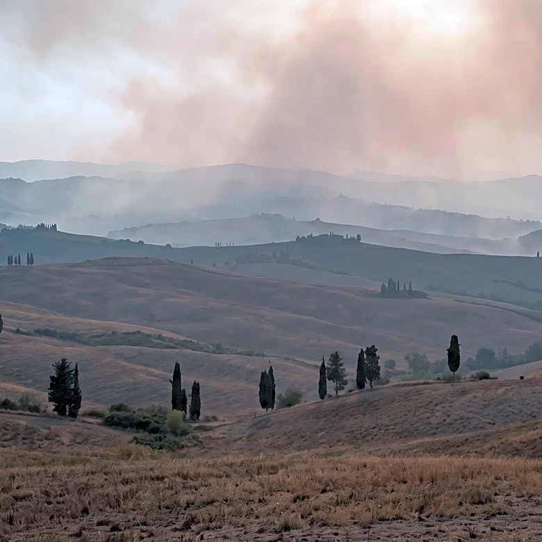 Real-Time Wildfire Map Provides Updates Across Italy