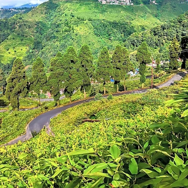 Meghalaya Proposes First State Agriculture Policy to Shift Towards High-Value Organic Farming