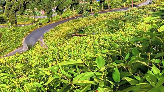 Meghalaya Proposes First State Agriculture Policy to Shift Towards High-Value Organic Farming