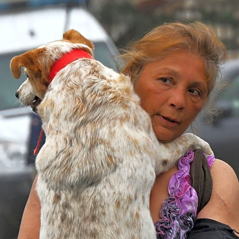 San Antonio Woman Arrested on Animal Cruelty Charges After Severely Injured Dog Found