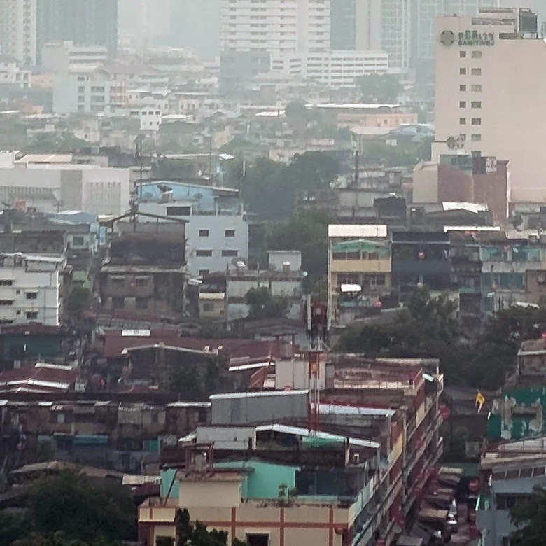 Air Pollution and Pneumococcal Subtypes Influence Disease Risk, Study Finds