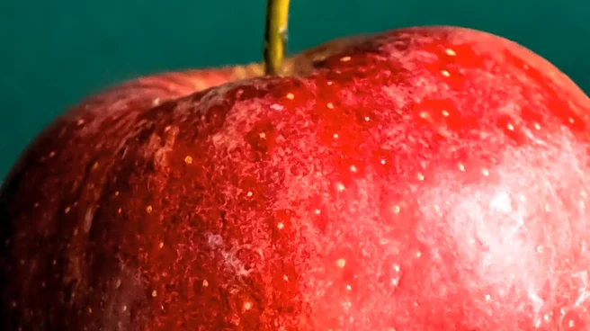 Geneticists Uncover Ancient Apple Progenitor, Rewriting Fruit History and Aiding Future Crop Resilience