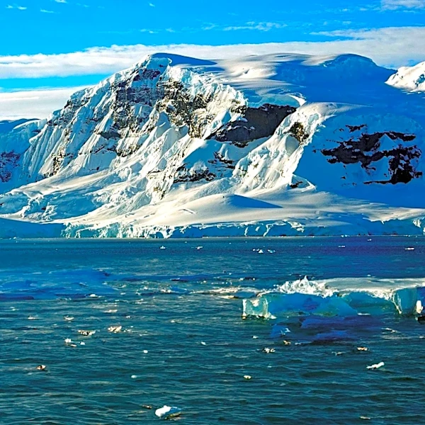 Arctic Region Investigated for Potential Shift from Carbon Sink to Carbon Source Amid Warming Climate