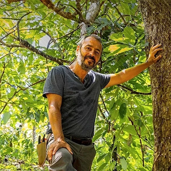 Toledo Man Recovers $1,000 Deposit After Tree Removal Dispute